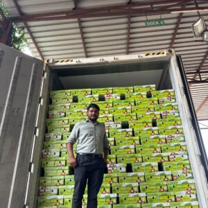 Man standing in front of a fully loaded export container filled with neatly stacked vegetables boxes.