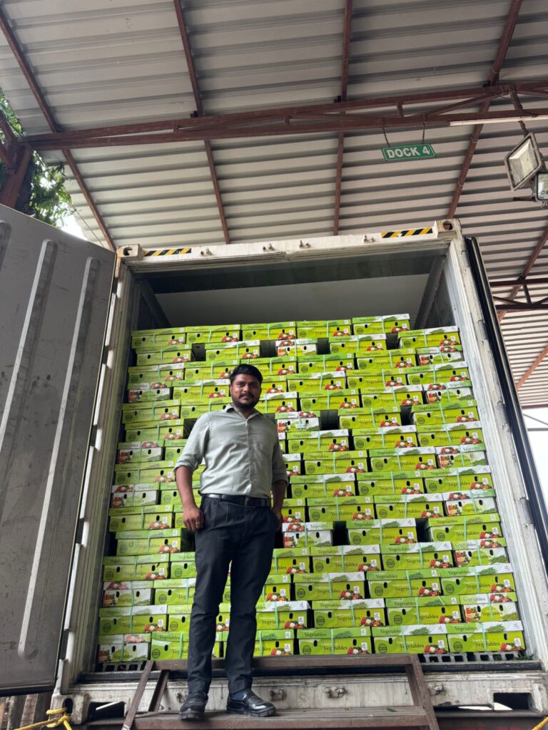 Man standing in front of a fully loaded export container filled with neatly stacked vegetables boxes.