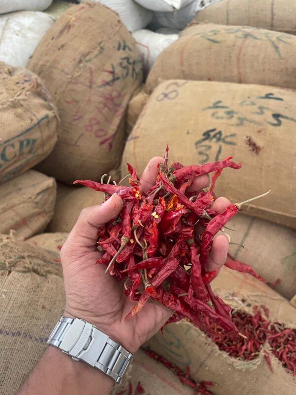 WhatsApp Image 2026-04-17 at 6.45.02 PM (2)