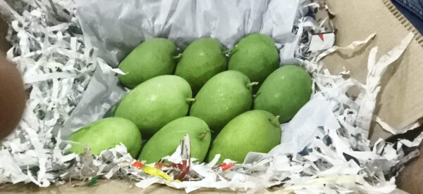 WhatsApp Image 2026-04-17 at 6.45.03 PM