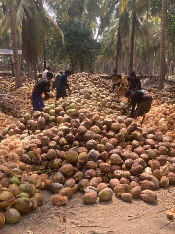 WhatsApp Image 2026-04-17 at 7.20.12 PM